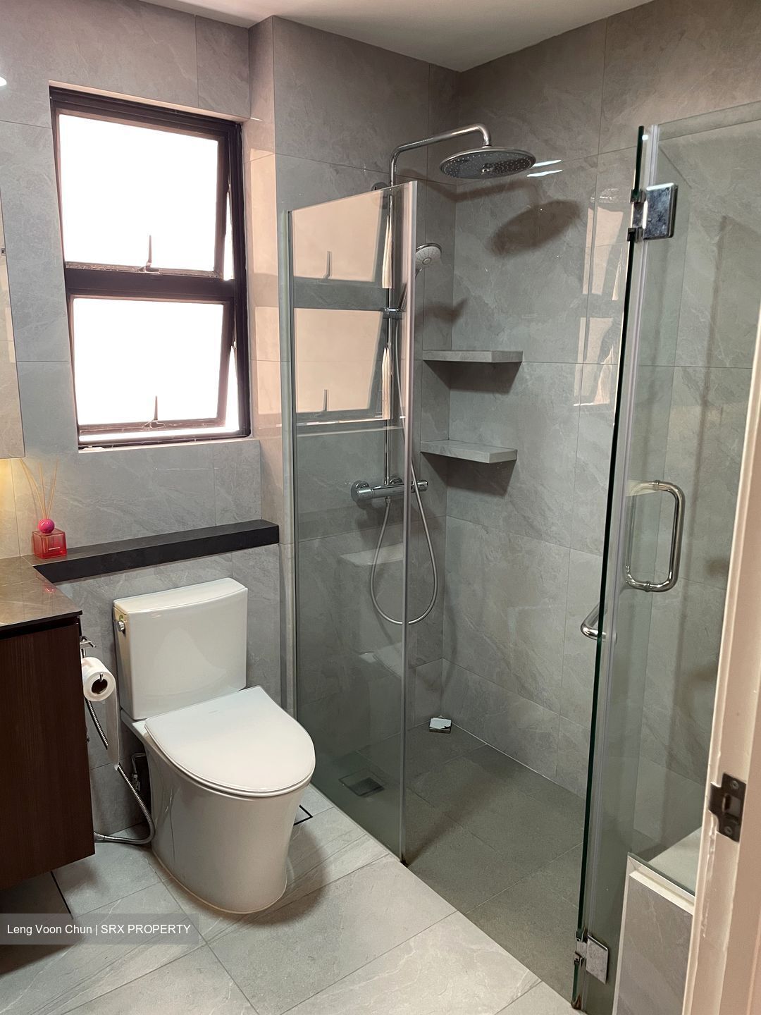 Dover Parkview (D5), Condominium #609924741